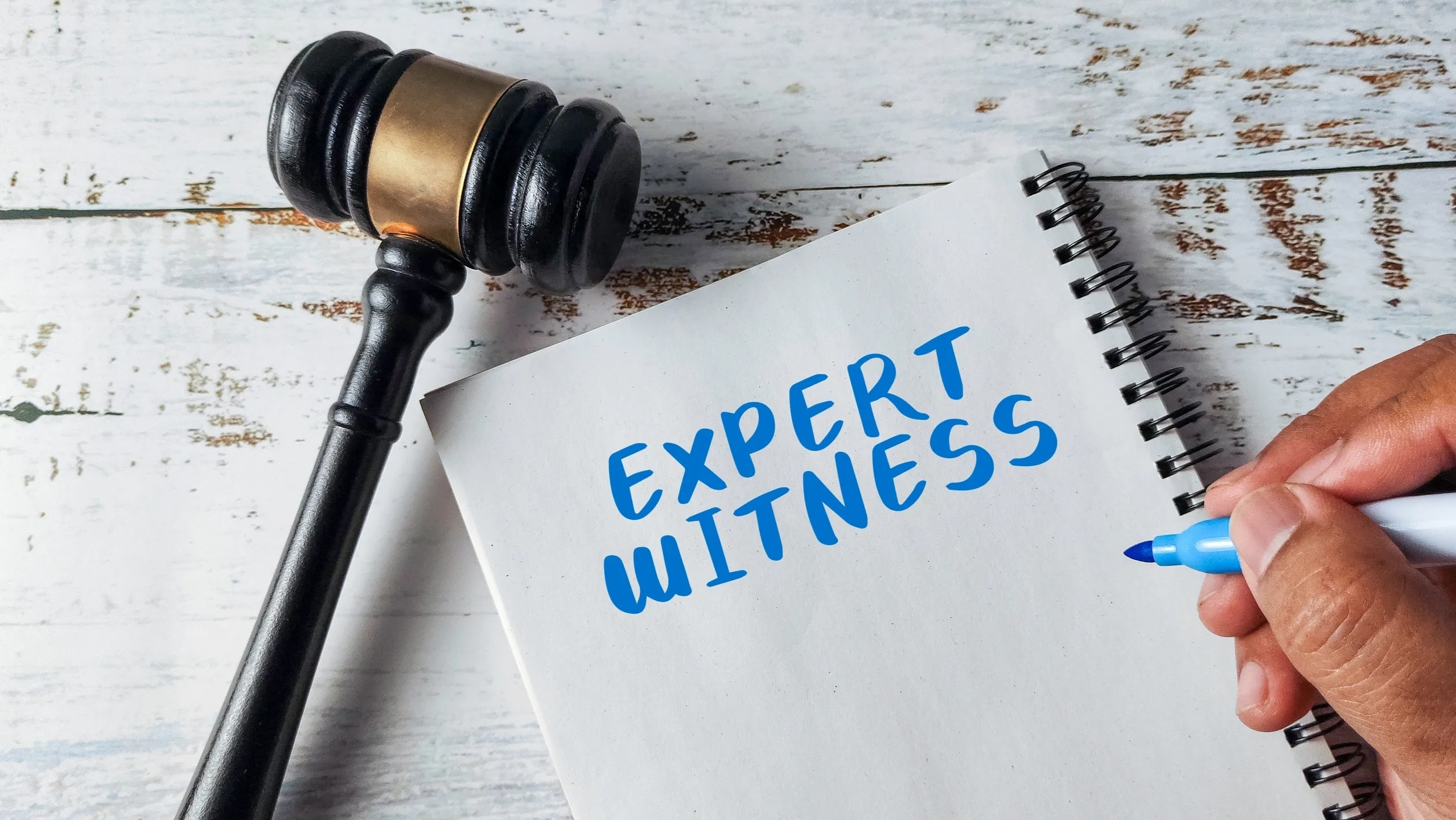Expert witness providing legal consultation and testimony
